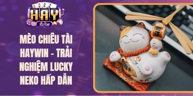 Mèo Chiêu Tài Haywin – Trải Nghiệm Lucky Neko Hấp Dẫn