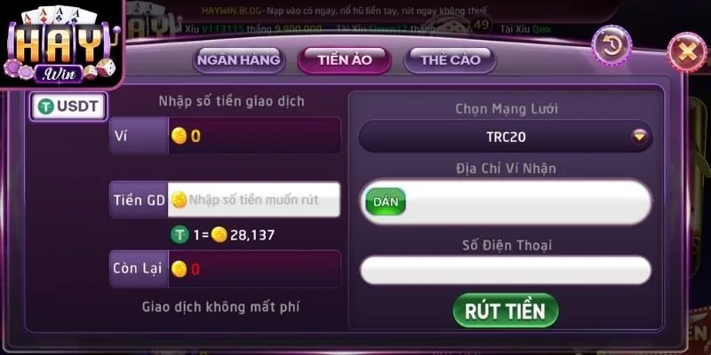 Ví điện tử linh hoạt rút tiền Haywin thao tác nhanh tiện lợi ổn định